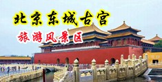 男生jj插女生mm视频中国北京-东城古宫旅游风景区